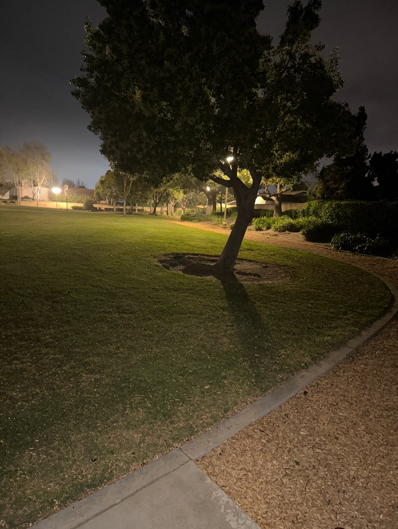 walking near me in Windsor North Park in spring