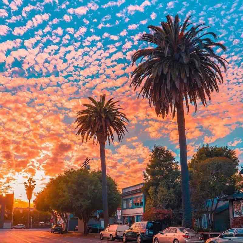 davidandreweve post 1