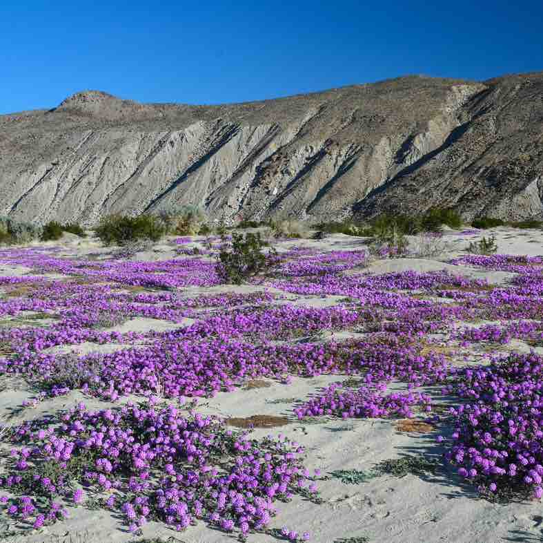 davidandreweve post 3