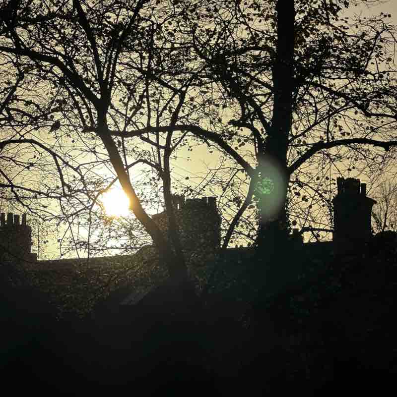 davidandreweve post 2