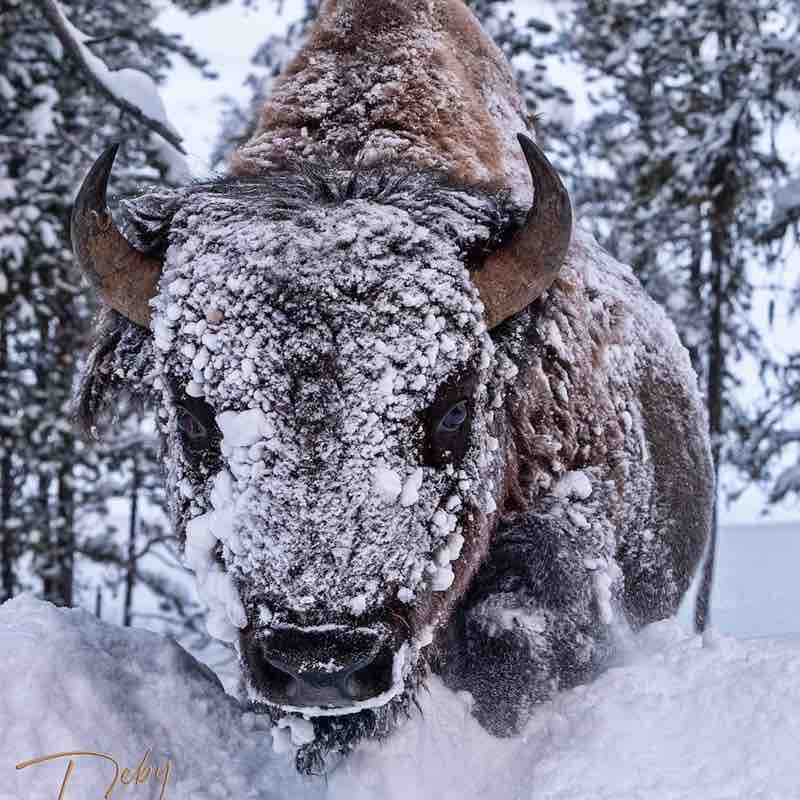 davidandreweve post 2