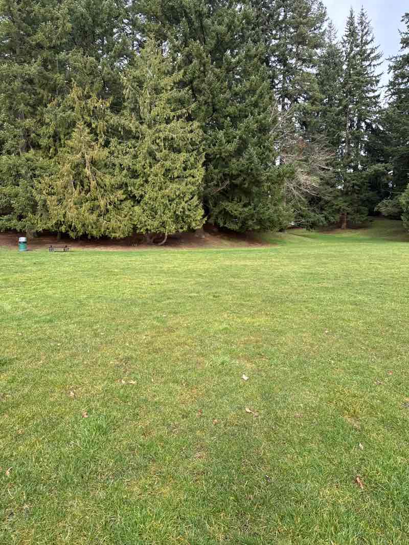 walking near me in Wilcox Park in winter