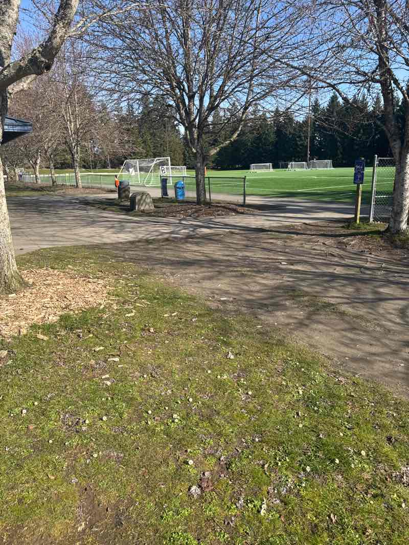 walking near me in Shoreline Park in spring