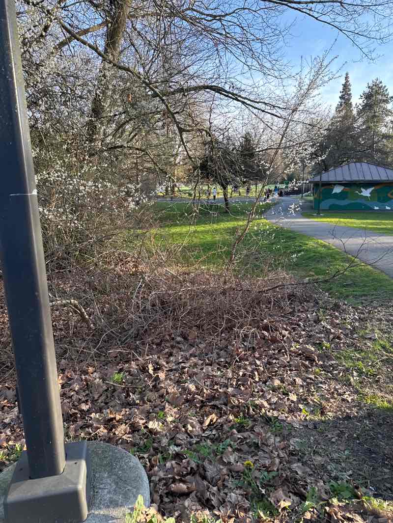walking near me in Twin Ponds Park in spring