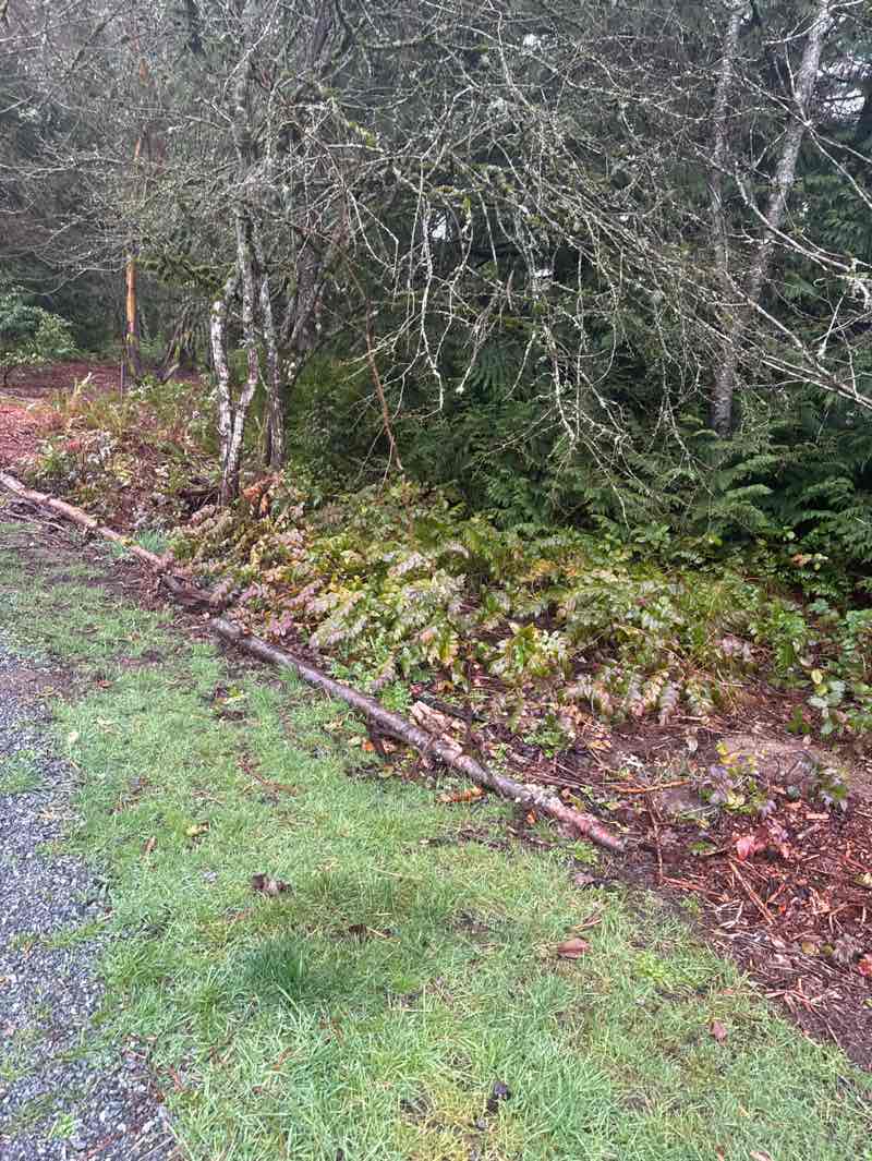 walking near me in Northcrest Park in spring