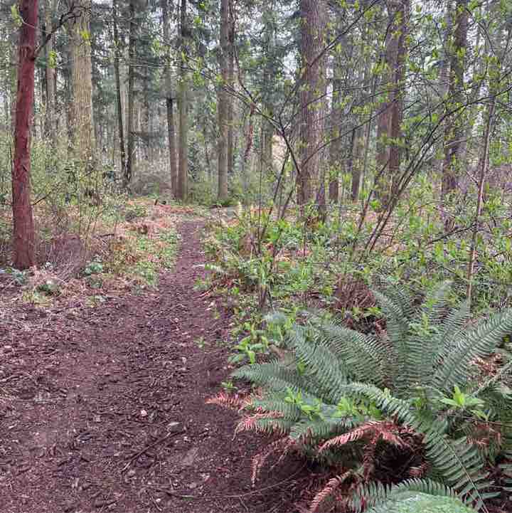 Pacerguy 1951 post 1