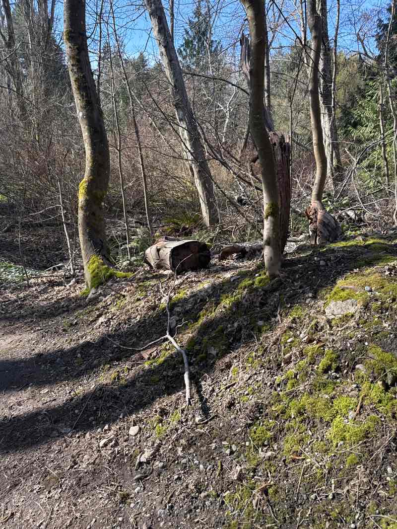 walking near me in Paramount Open Space in spring