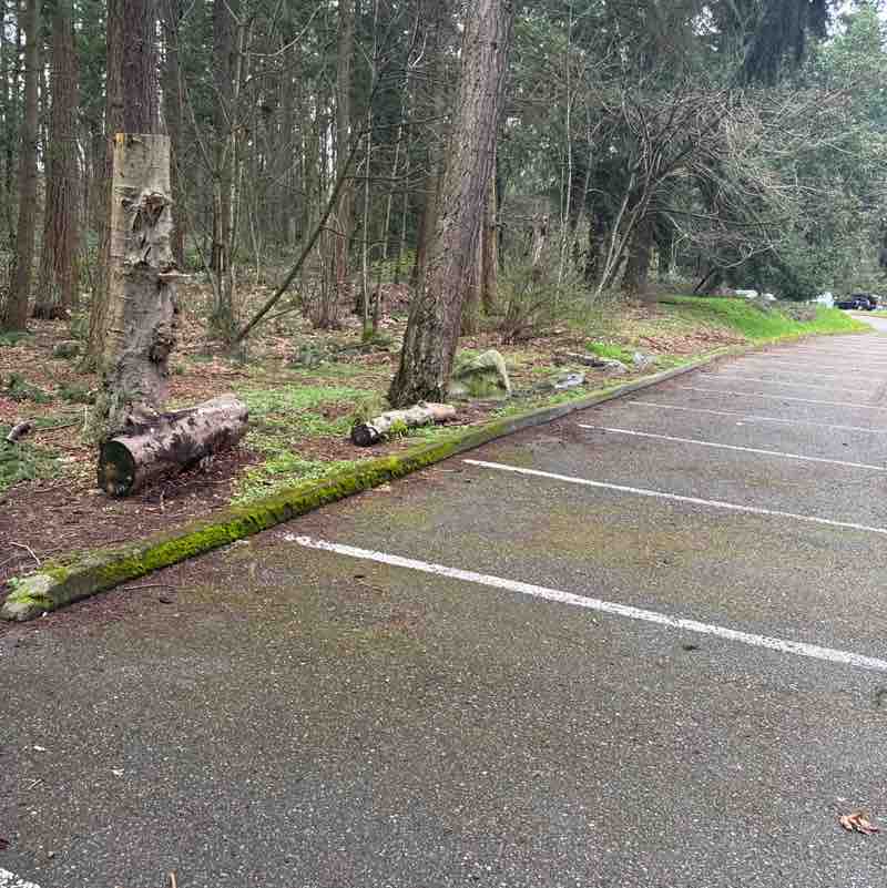 Pacerguy 1951 post 1