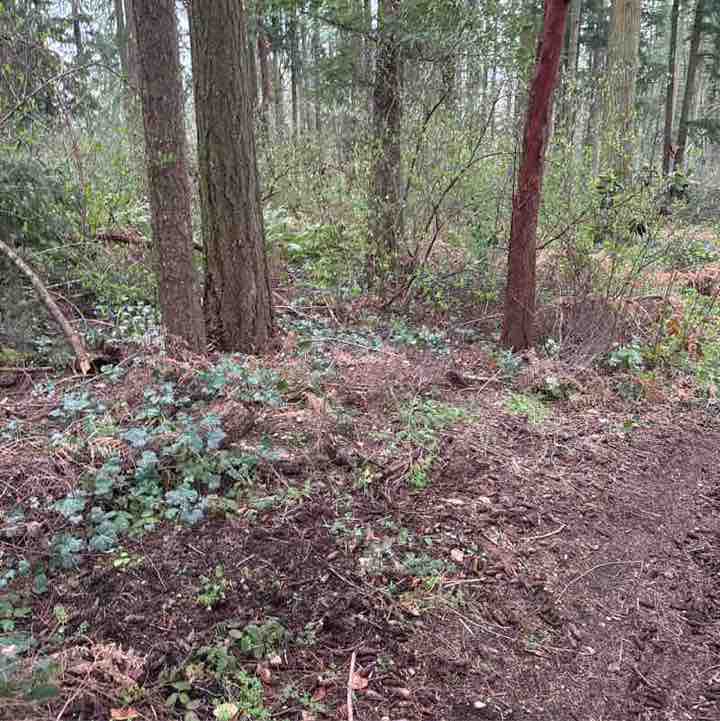 Pacerguy 1951 post 1