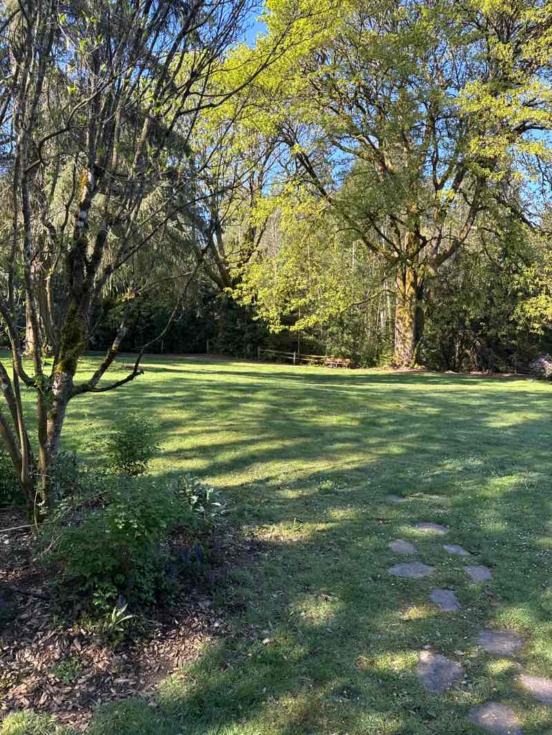 walking near me in Animal Acres Park in spring