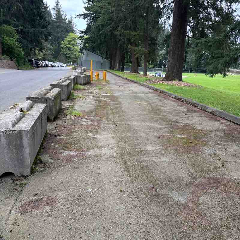 Pacerguy 1951 post 1
