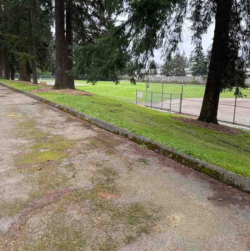 Pacerguy 1951 post 1
