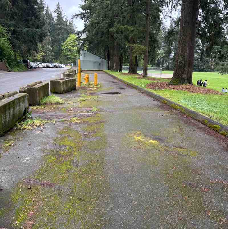 Pacerguy 1951 post 1