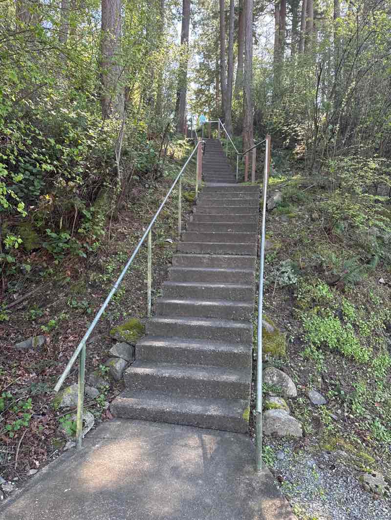 walking near me in Pioneer Park in spring