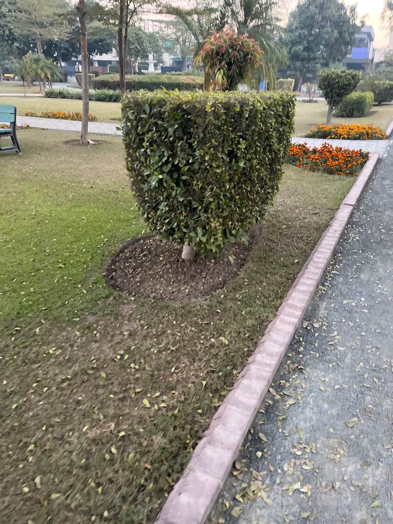 walking near me in BB Park in winter