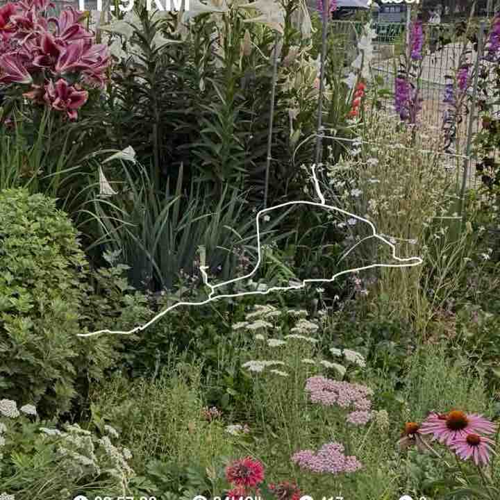 은퇴의 정석 post 1