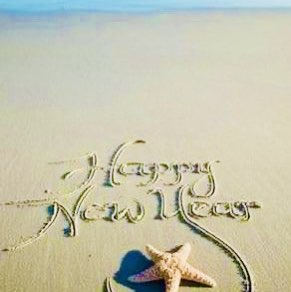 🦘Shoalhaven 🇦🇺 post 1