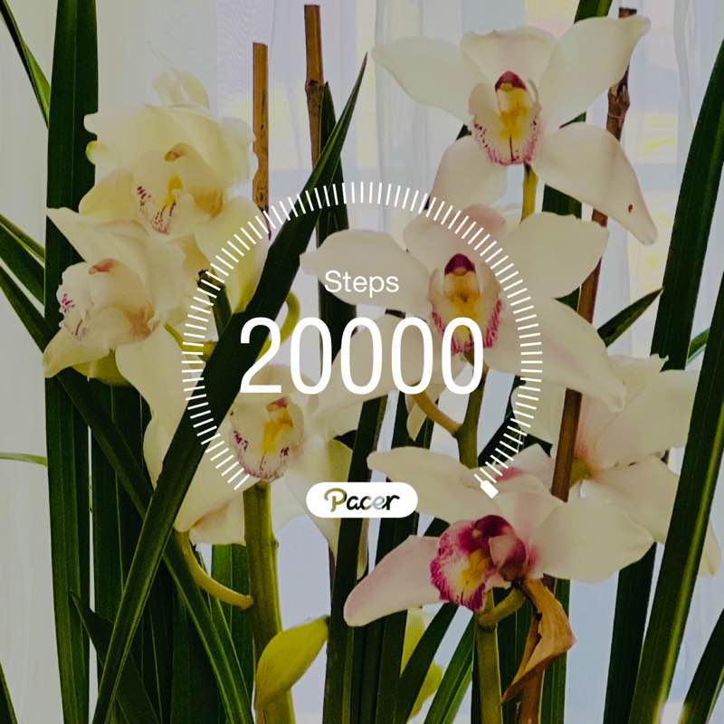 🦘Shoalhaven 🇦🇺 post 1