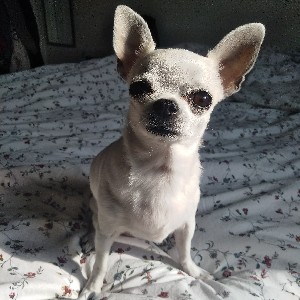 🅰️nne  🇲🇫🇮🇱 profile