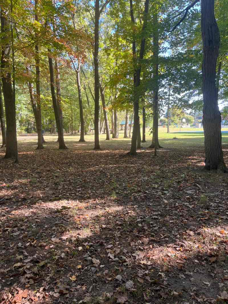 walking near me in Cummins Park in autumn