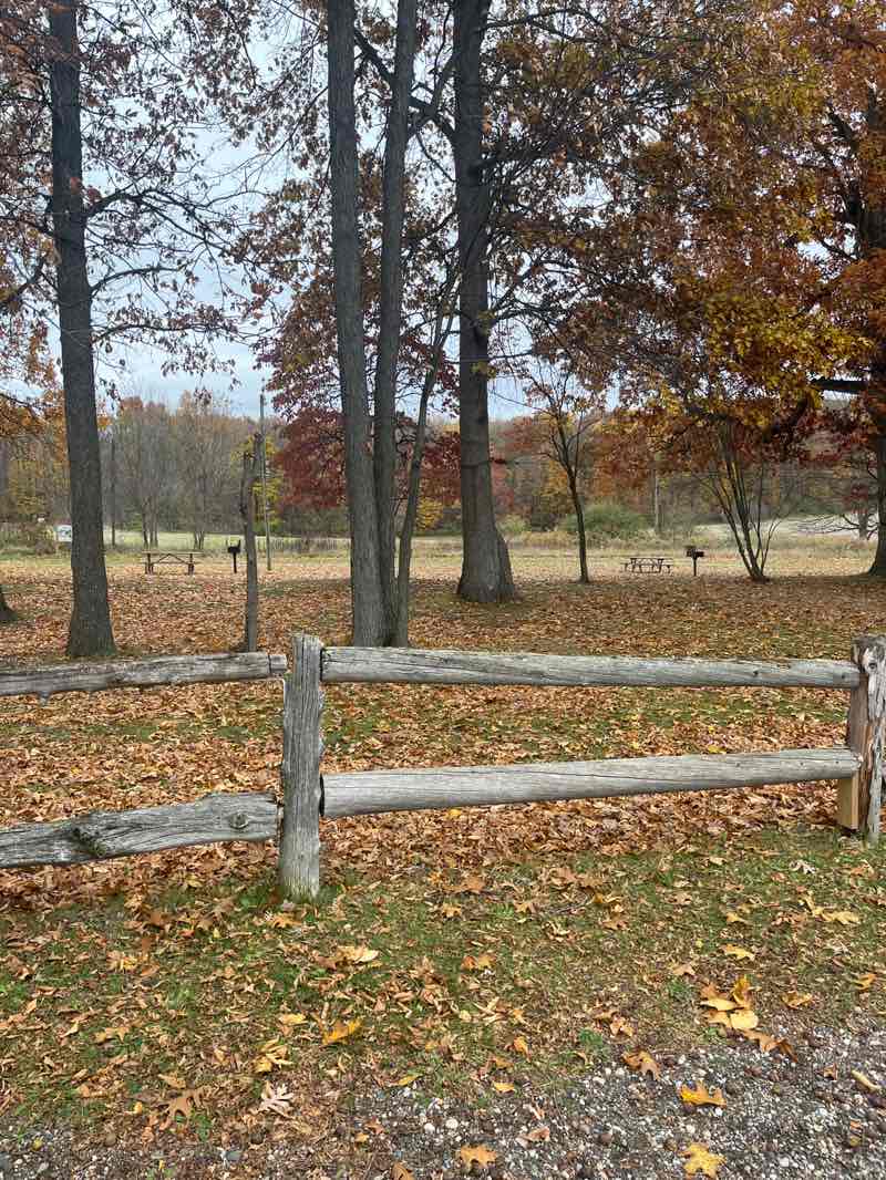 walking near me in Dr. T.K. Lawless Park in autumn