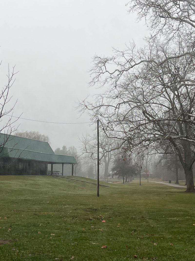 walking near me in Shanklin Park in winter