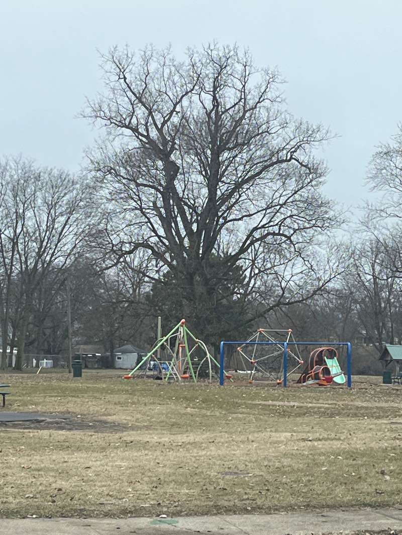 walking near me in Langle Park in winter