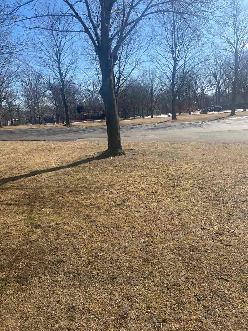 walking near me in McNaughton Park in winter