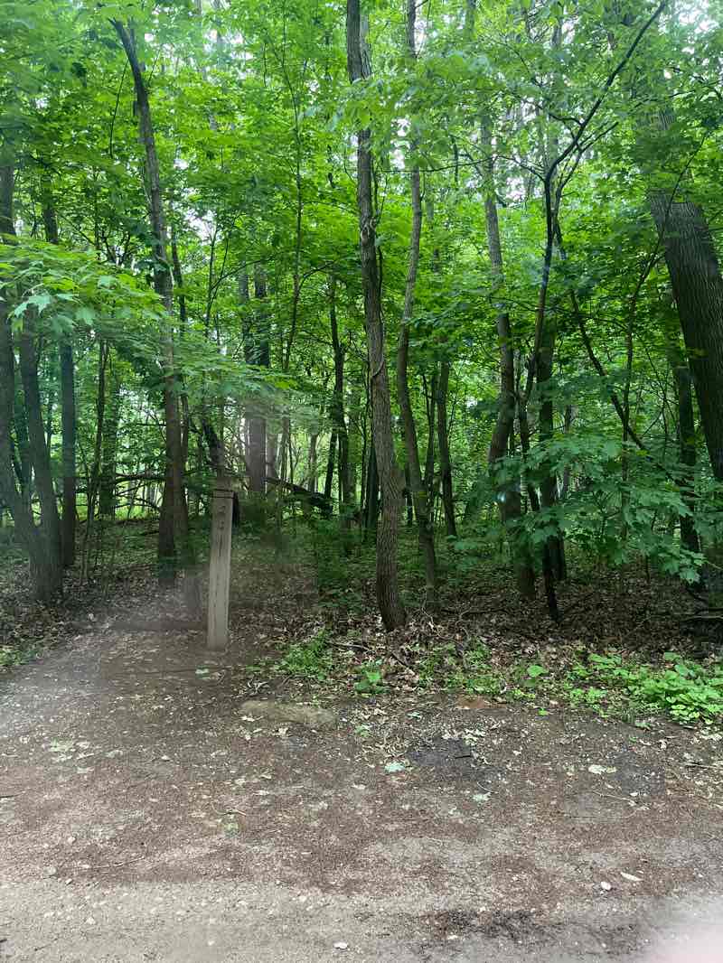 walking near me in Boot Lake Nature Praserve in spring