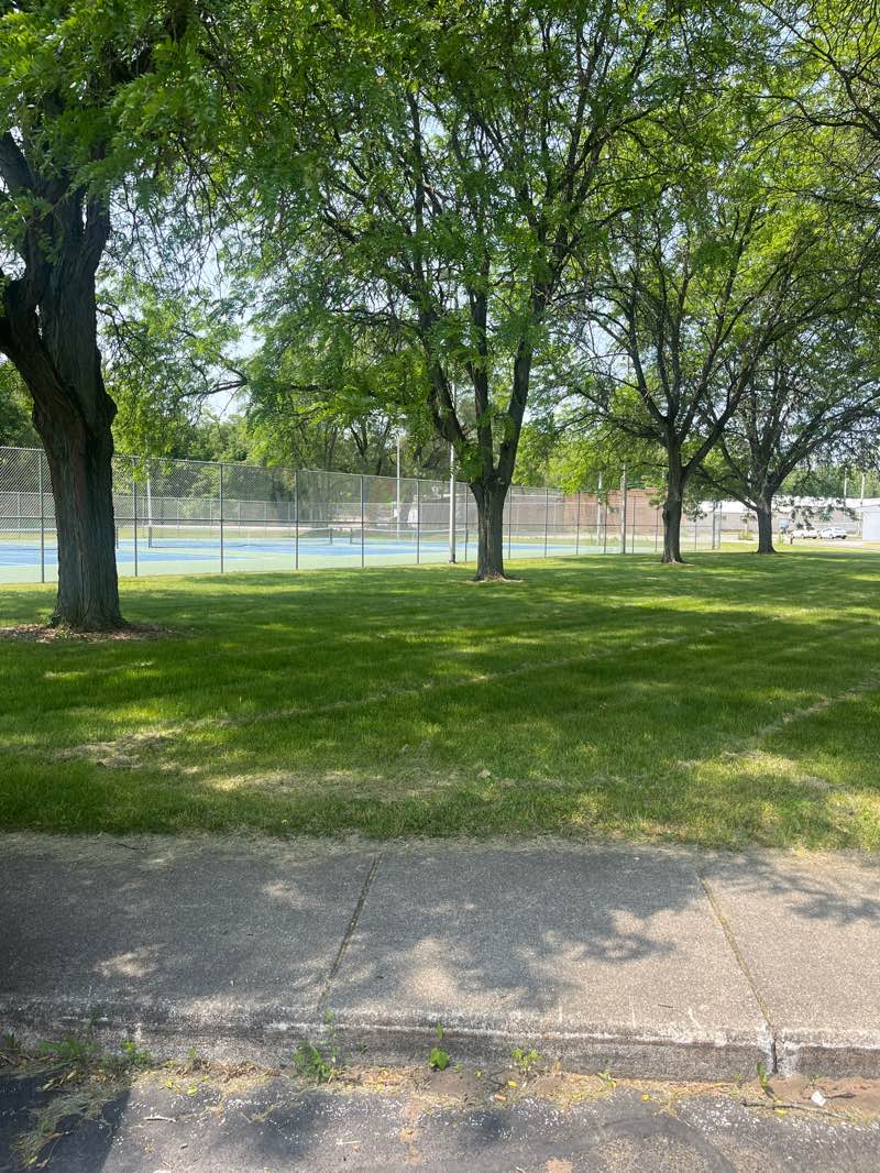 walking near me in High Dive Park in summer