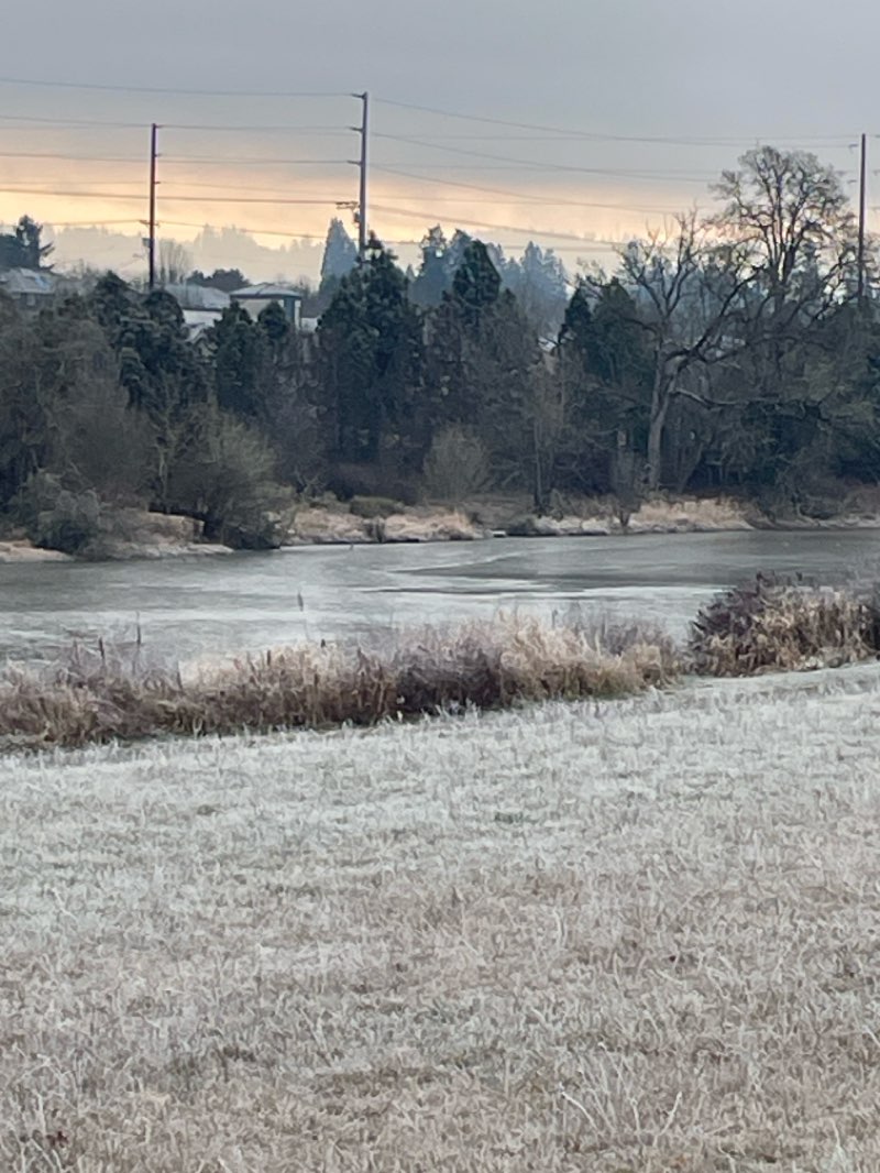 walking near me in Bethany Lake Park in winter
