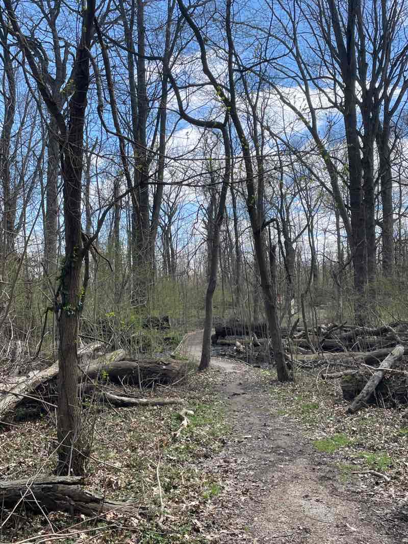 walking near me in Osborn MetroPark in spring