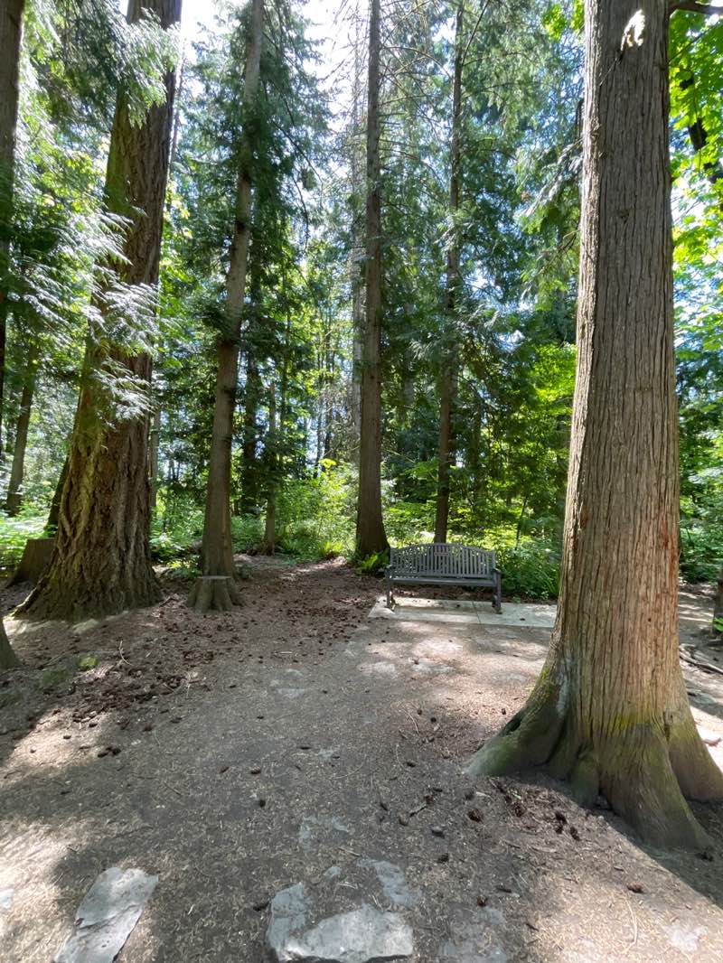 walking near me in Noble Woods Park in spring