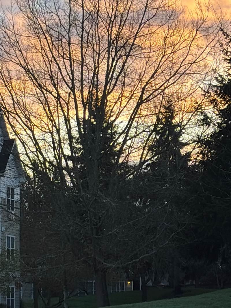 walking near me in Waterhouse Linear Park in spring