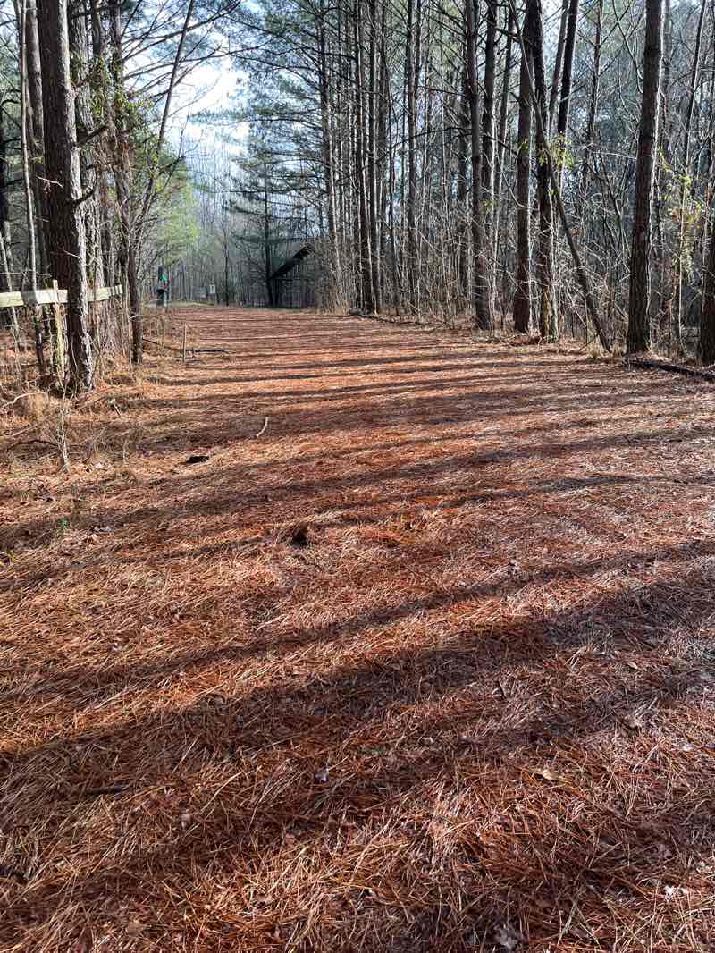 walking near me in Birmingham Park in winter