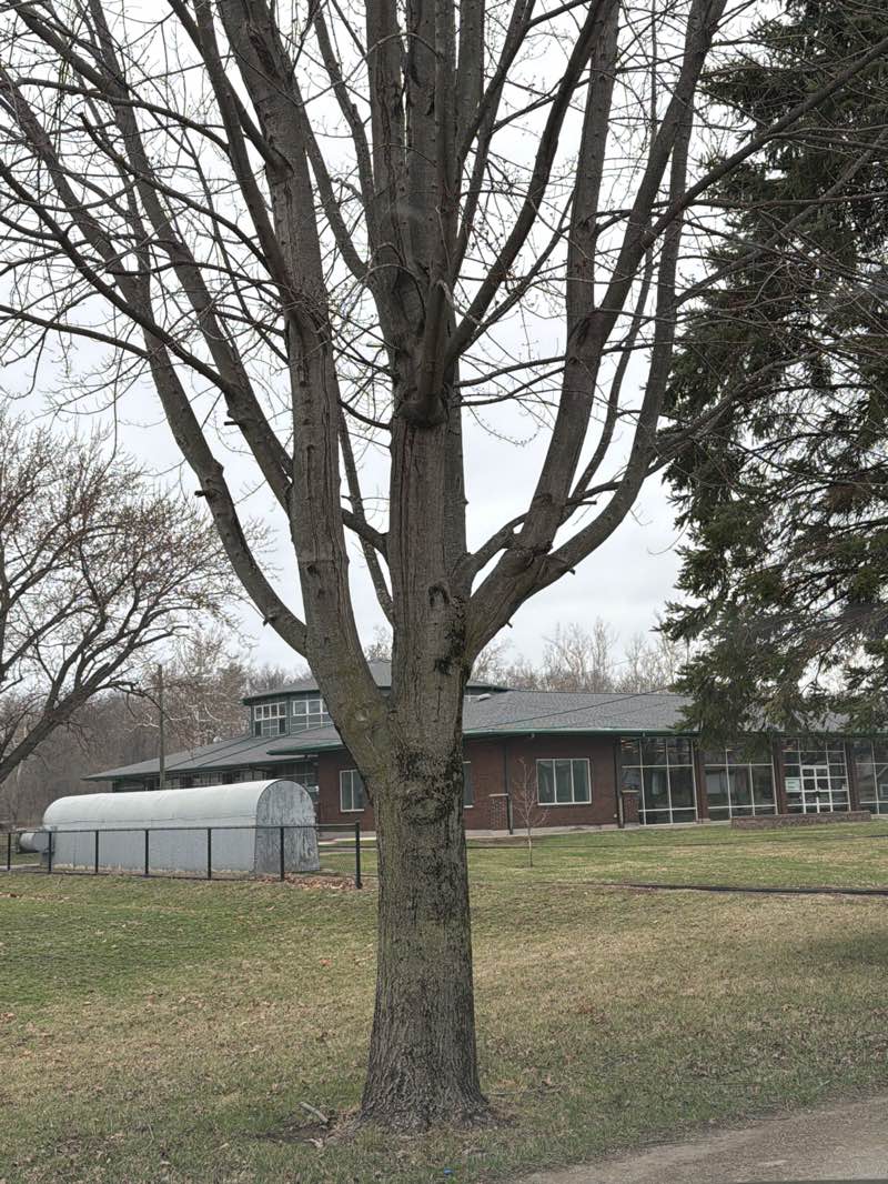 walking near me in Riverside Park in spring