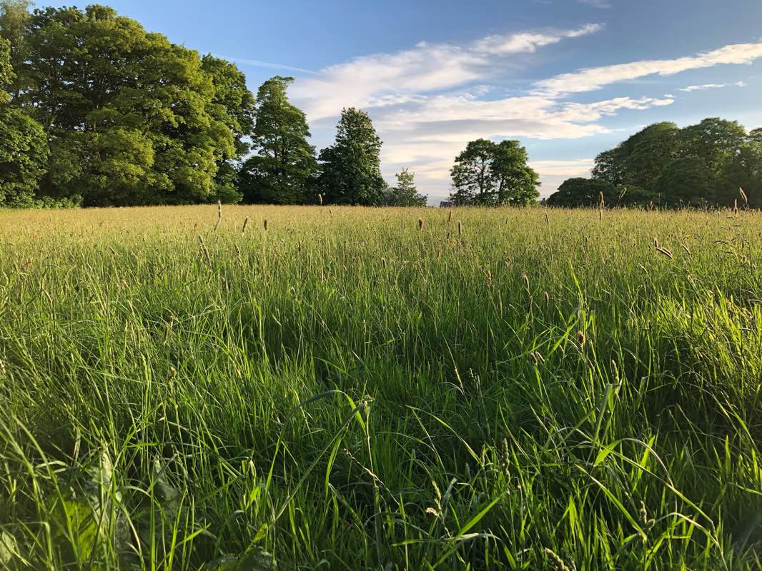 walking near me in Oxenhope Millennium Green in winter