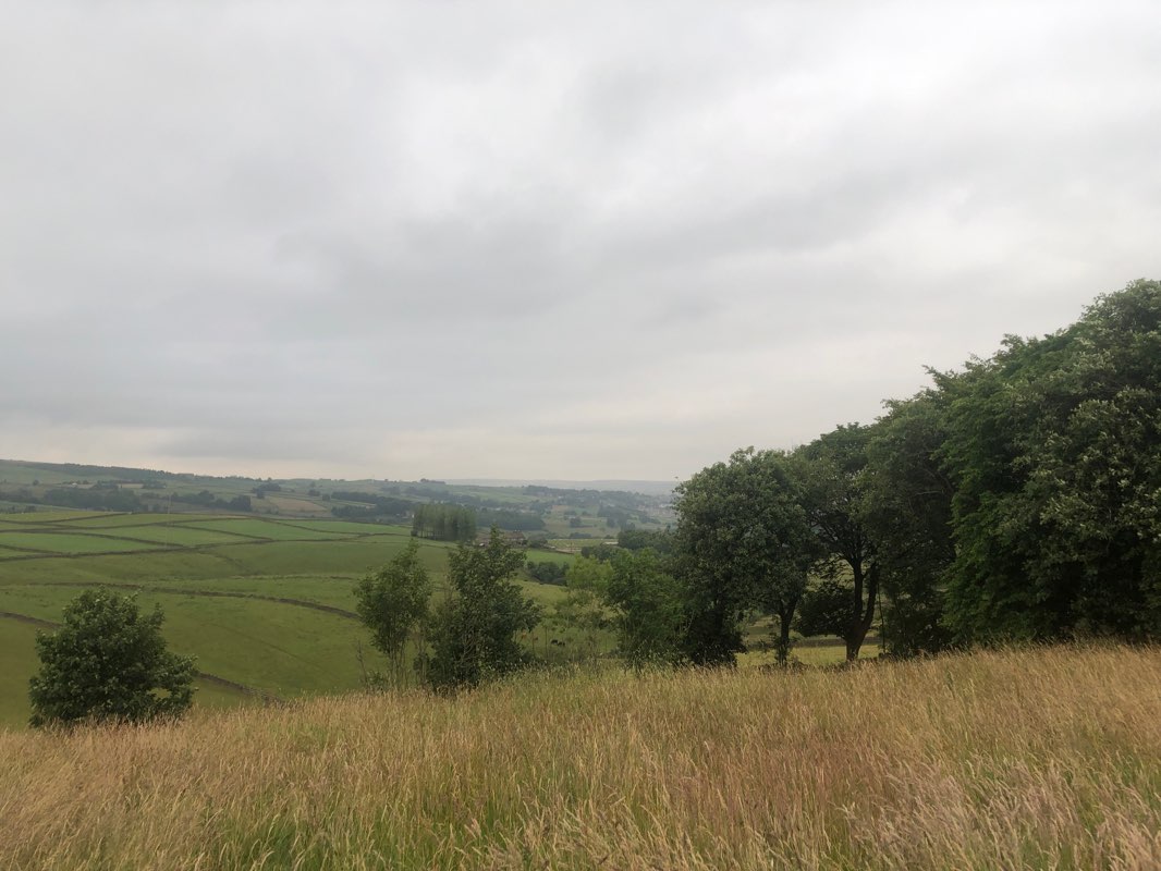 walking near me in Holden Park in winter