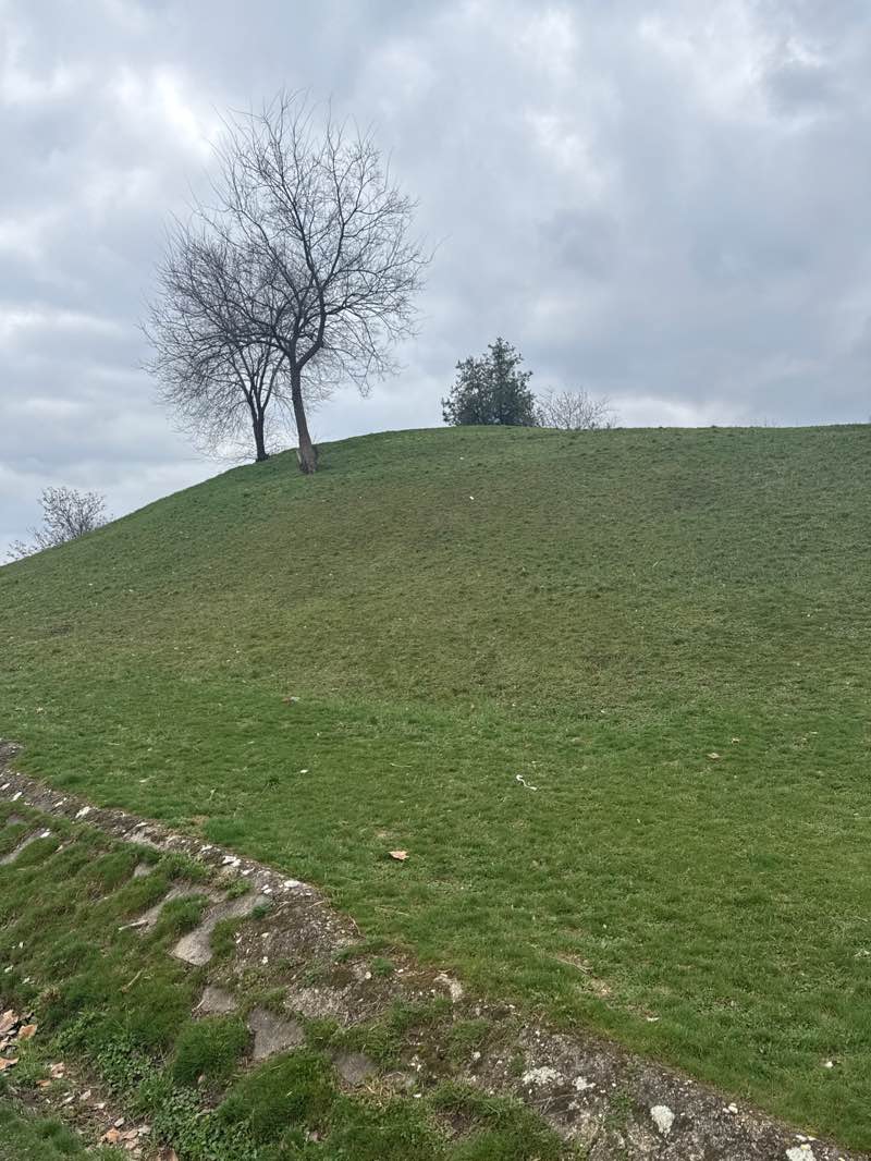 walking near me in Barátság park in spring