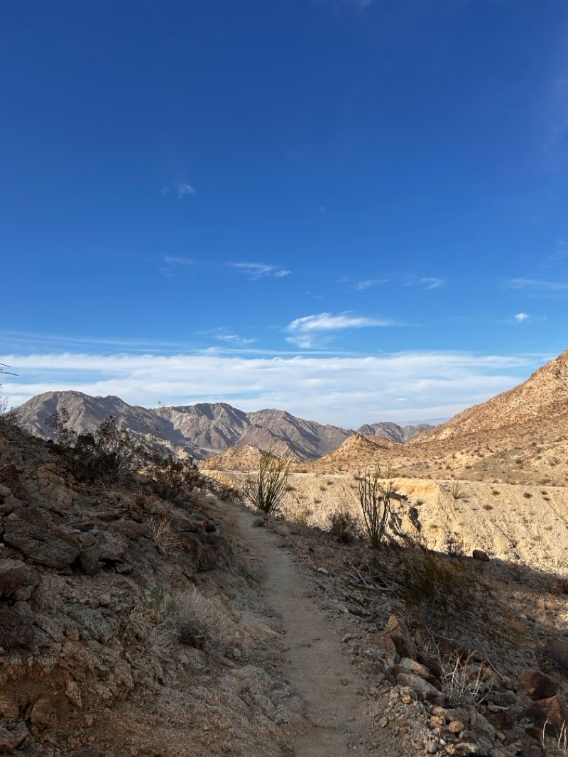 walking near me in Lake Cahuilla Park in autumn