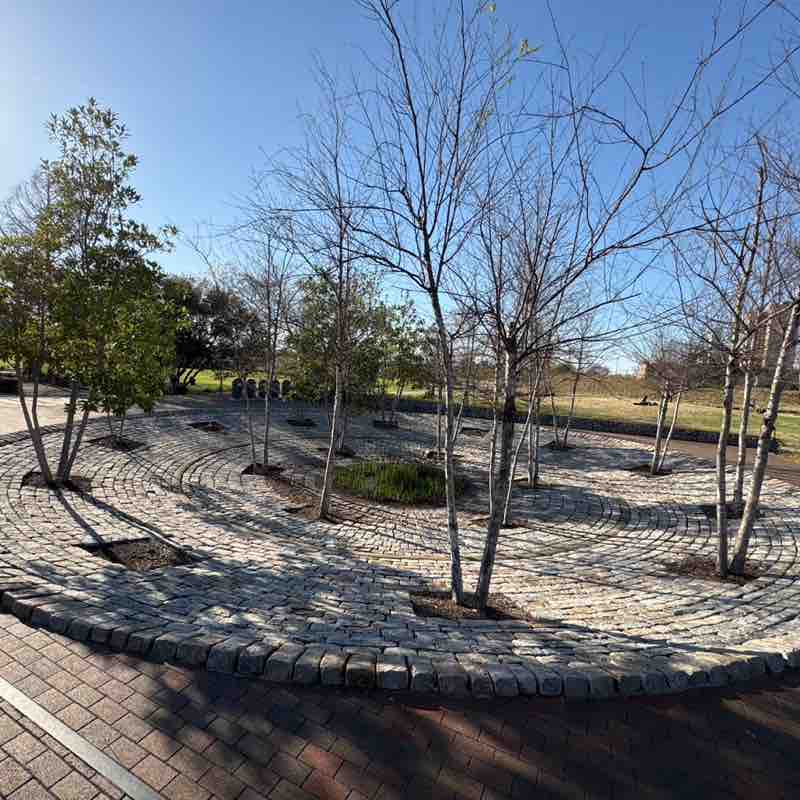 constantinetheemcee post 1