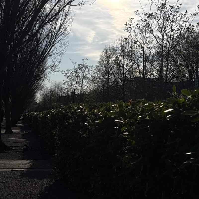 constantinetheemcee post 1