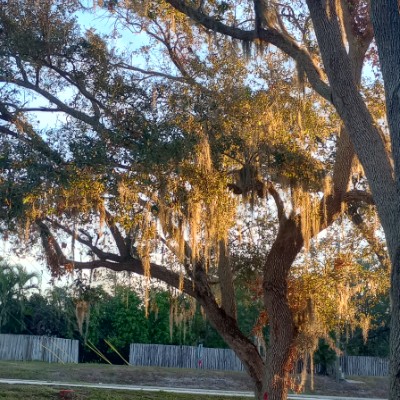 ri$ky_da_KID🔥 post 1