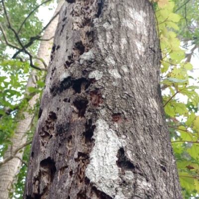 Go Getters 🏃🏽👟💨 ri$ky_da_KID🔥 post image