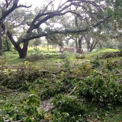 Go Getters 🏃🏽👟💨 ri$ky_da_KID🔥 post image