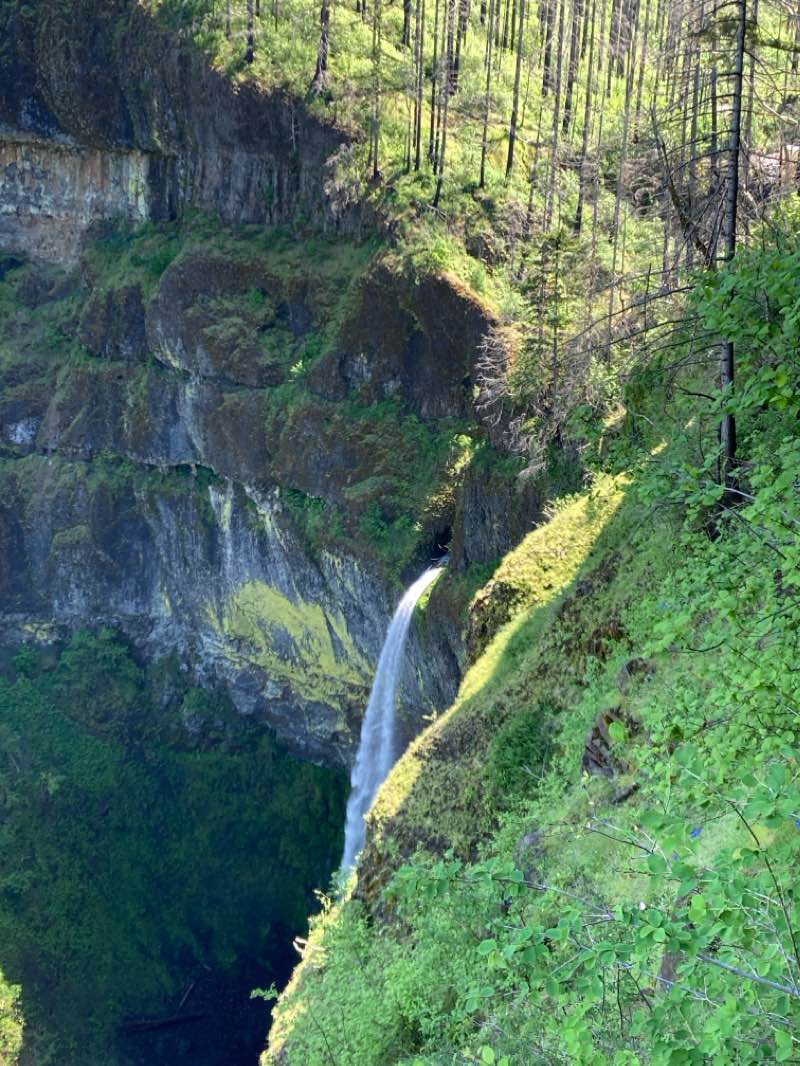 walking near me in Memaloose State Park in winter