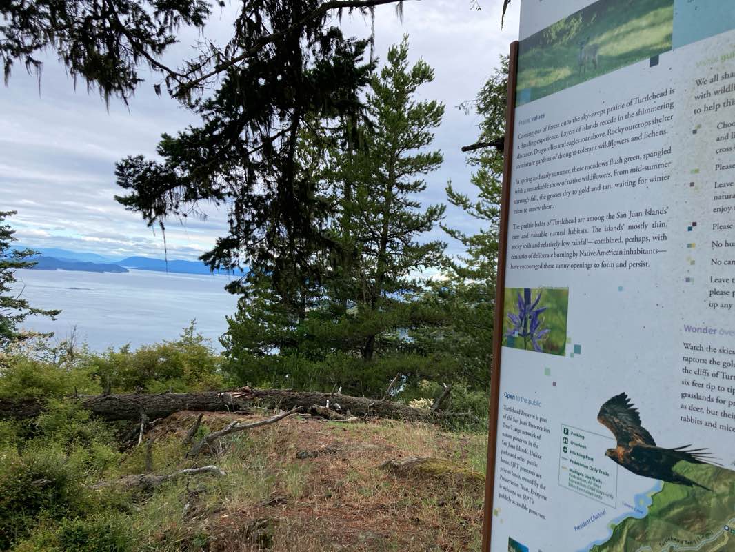 walking near me in Turtleback Mountain Preserve in winter