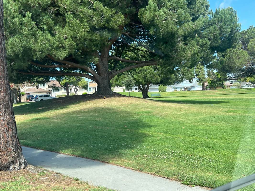 walking near me in Hickory Park in spring