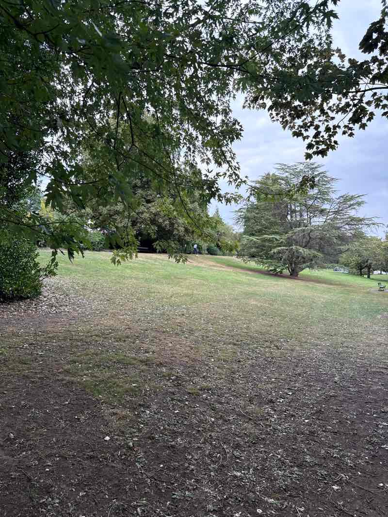 walking near me in Wharfemeadows Park in autumn