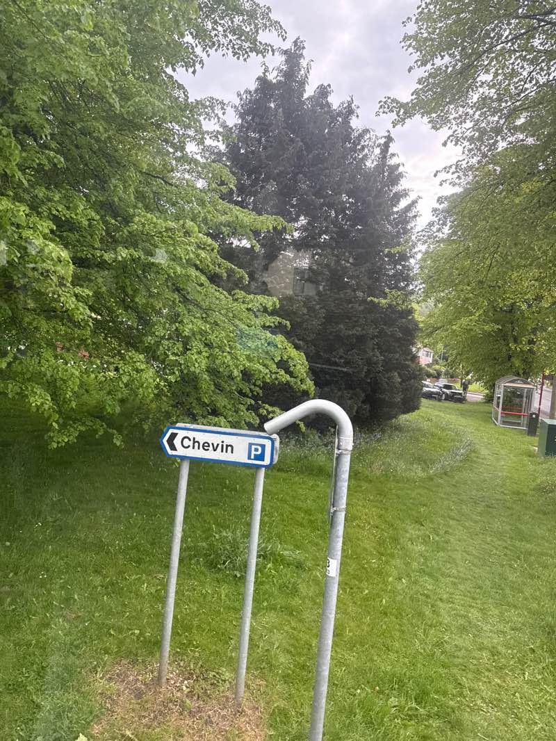walking near me in Grove Hill Park in spring